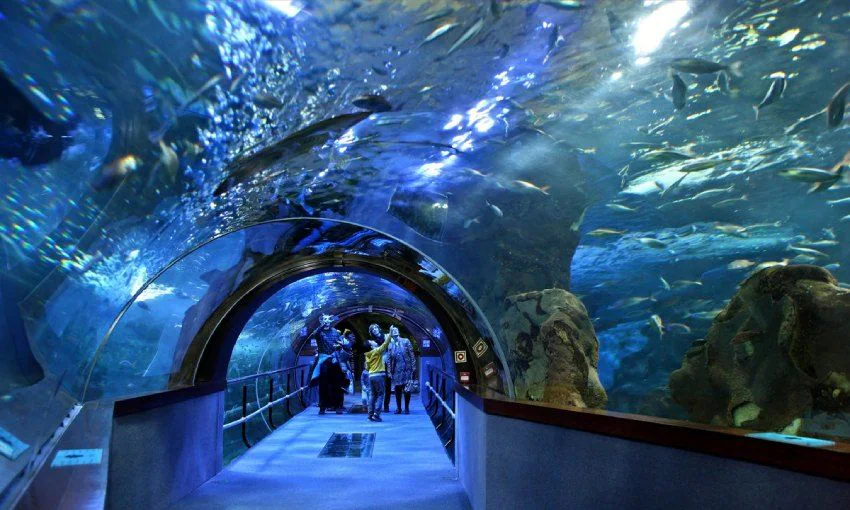 Aquaria KLCC