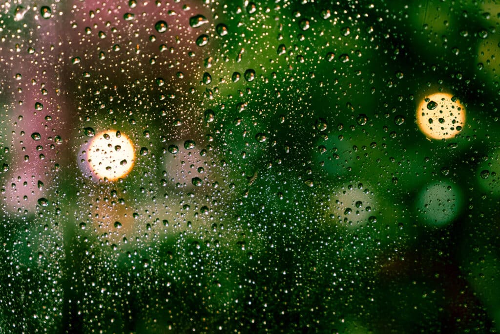 Raindrops on the window